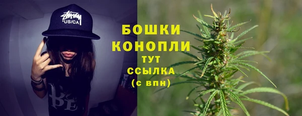 apvp Елабуга