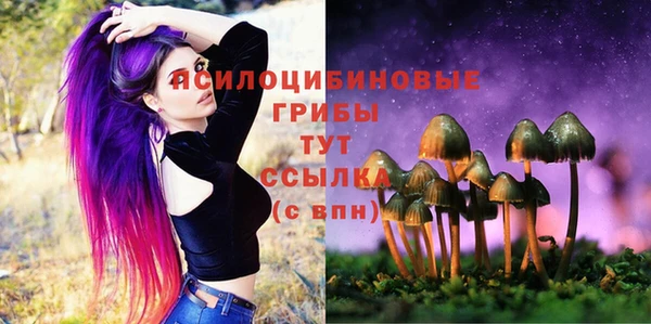 каннабис Ельня